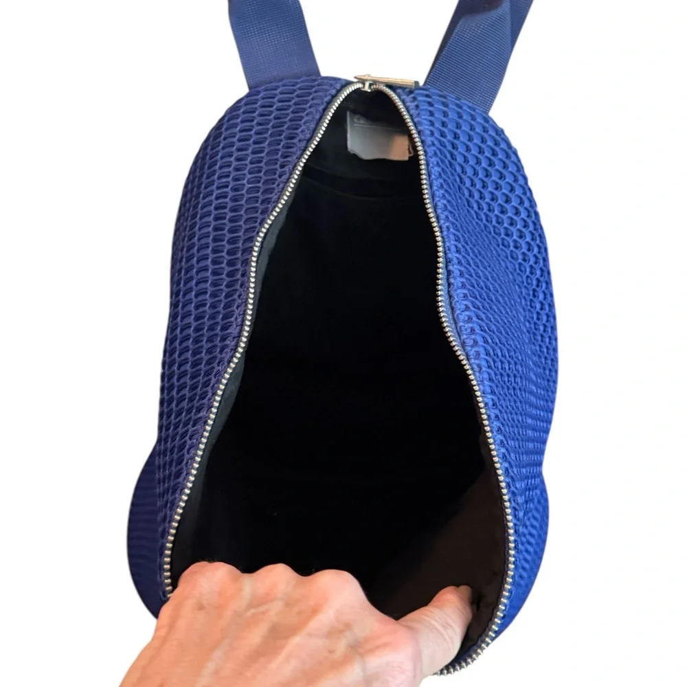 ASOS Lifestyle Mesh Dog Clip Blue Backpack - EUC - Picture 3 of 5